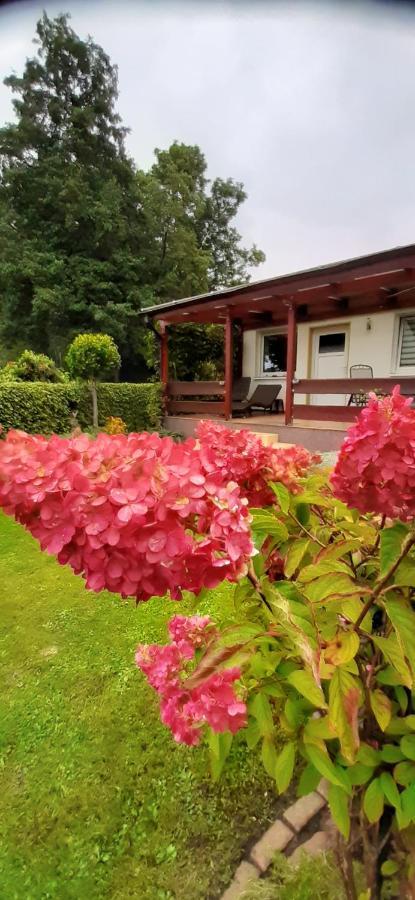 Bungalow Idylle Am See Villa Neuruppin Exterior photo