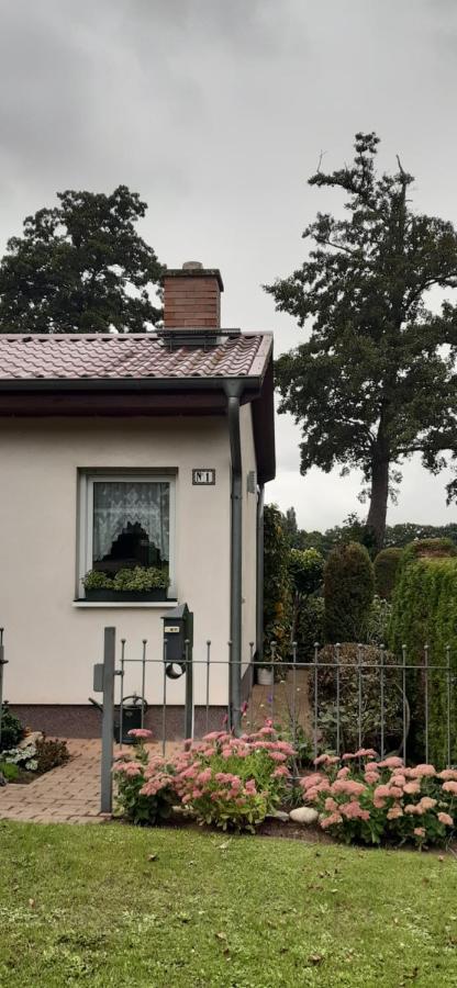 Bungalow Idylle Am See Villa Neuruppin Exterior photo